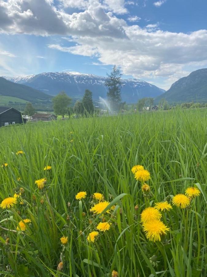 Stort Og Autentisk Hus I Skjak - Kort Vei Til Lom! Экстерьер фото